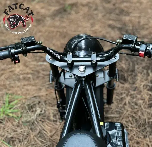FatCat Mini Bike Top Shot